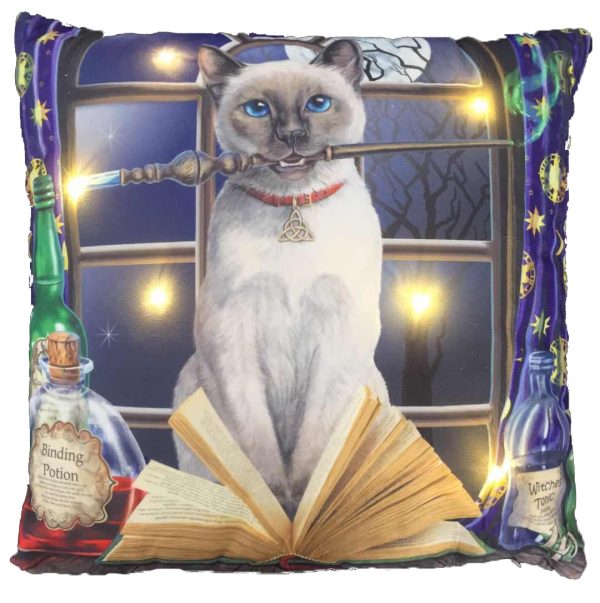 LED Light Up Hocus Pocus Cushion - Lisa Parker