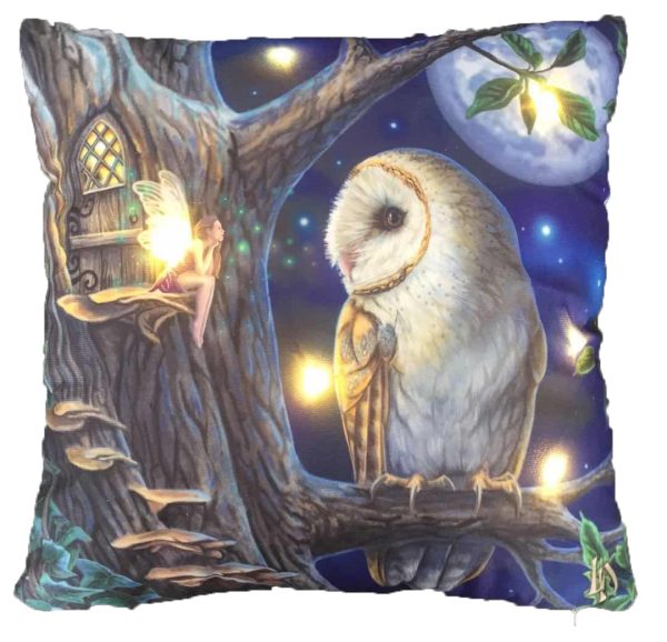 LED Light Up Fairy Tales Owl & Fairy Cushion - Lisa Parker