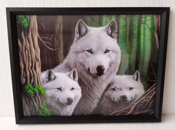 3D White Wolves 30x40CM