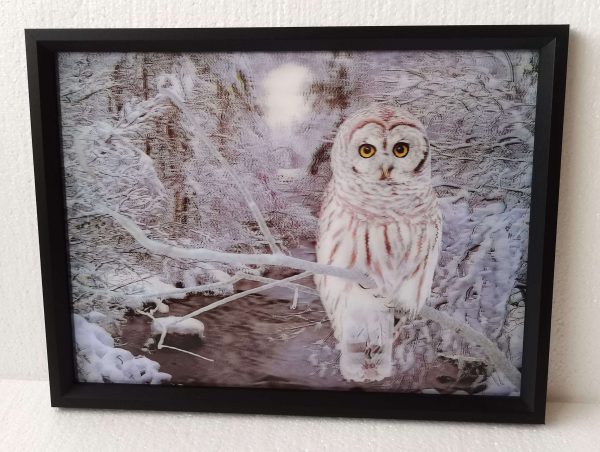 3D Owl 30x40CM