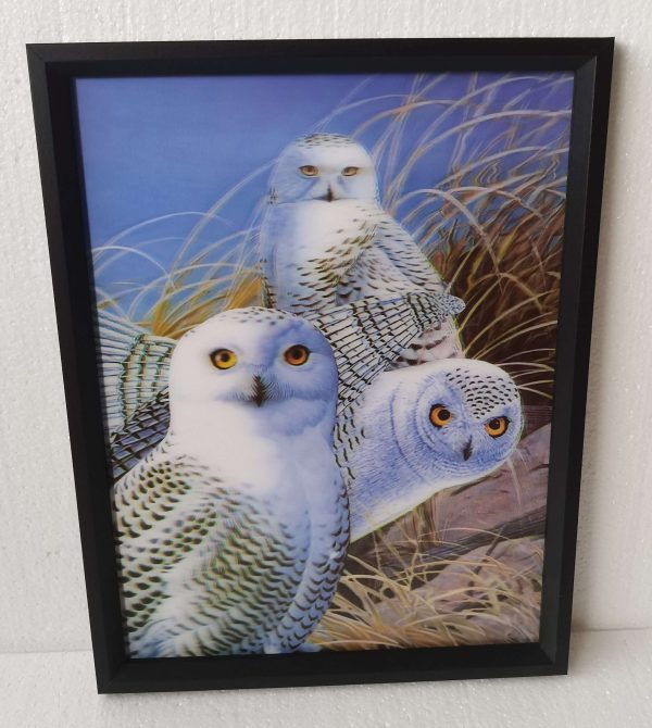 3D Owl Parliament 30x40CM